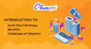 multi-cloud strategy